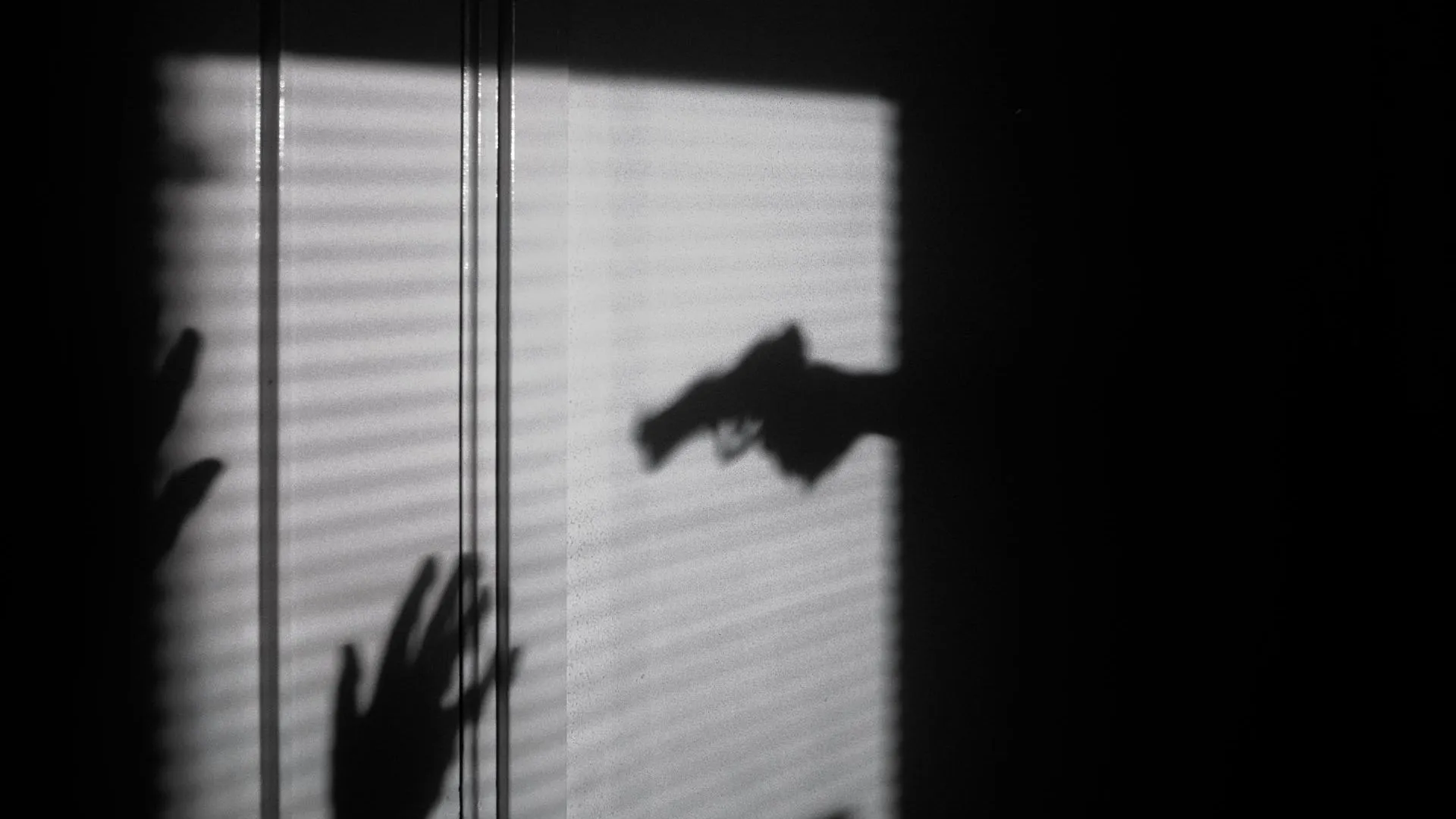 В Рудольфове учительница обезвредила школьника с пистолетом, топором и ножом
