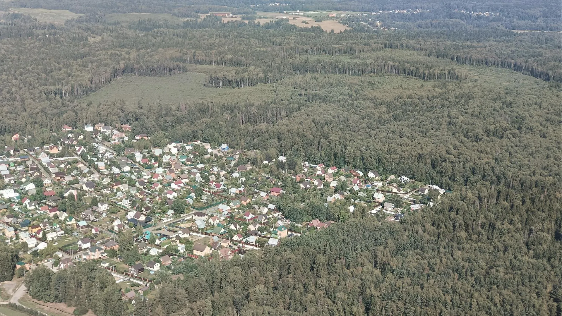 Свыше 900 самовольных занятий лесных участков выявлено в Подмосковье в 2024 году