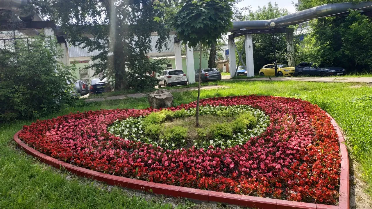 Жителей Котельников призвали не воровать цветы с клумб