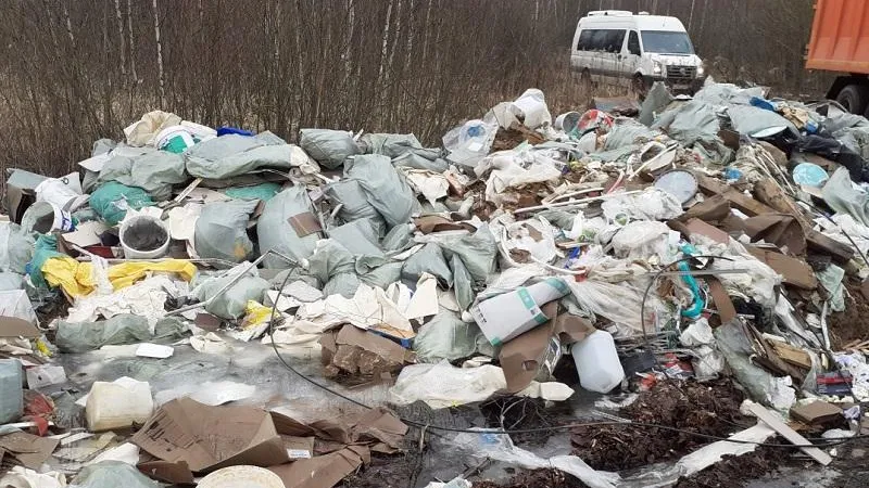 Незаконную свалку в Домодедове ликвидируют до конца года