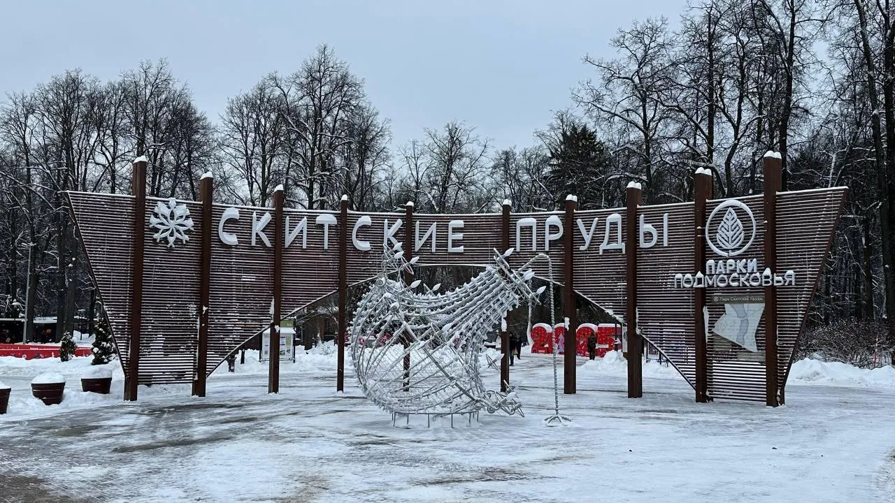 В парке «Скитские пруды» Сергиево-Посадского округа запланированы мероприятия