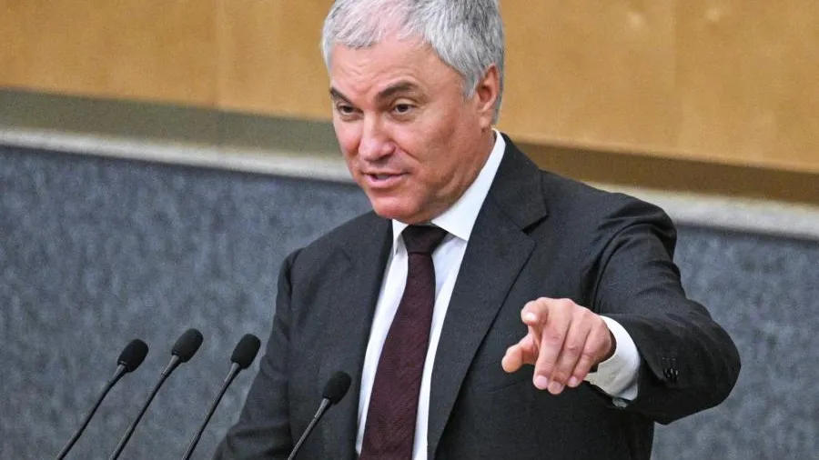 Володин предложил всем нейросетям внедрить родительский контроль