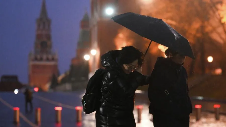 Штормовой ветер обрушил деревья и новогоднюю елку в Москве