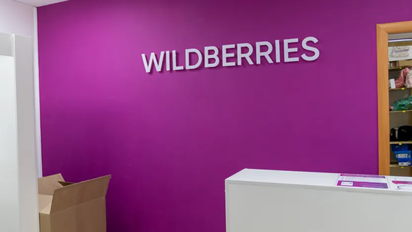 Глава DNS Алексеев не увидел выгоду для Wildberries при слиянии с Russ