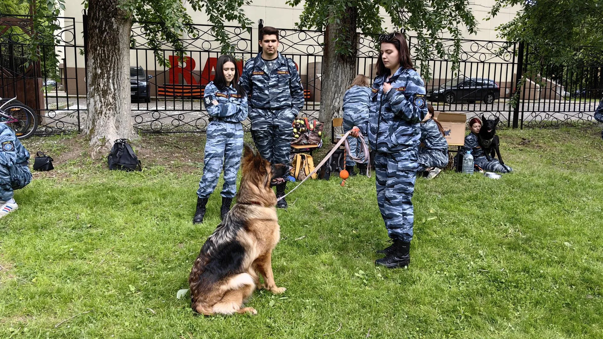 Кинологи Щелковского колледжа приняли участие в мероприятии «Все краски лета»
