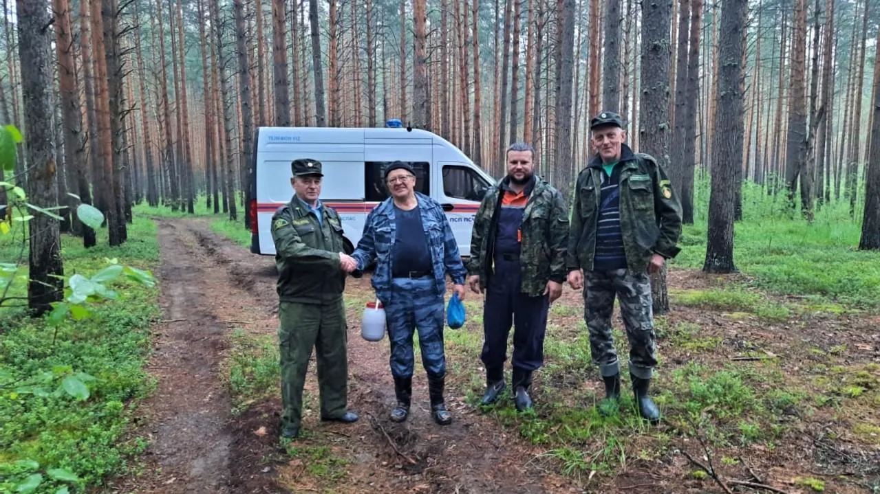 Свыше 120 человек заблудись в лесах Подмосковья за неделю