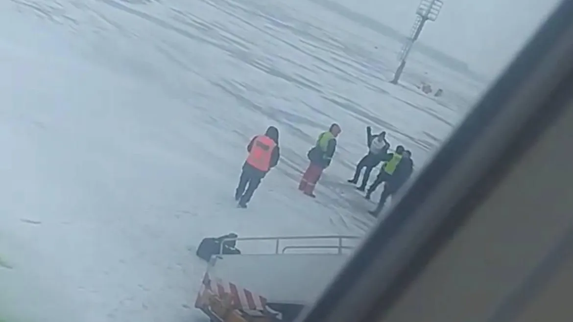 Полиция привлекла к ответственности дебошира в аэропорту Домодедово