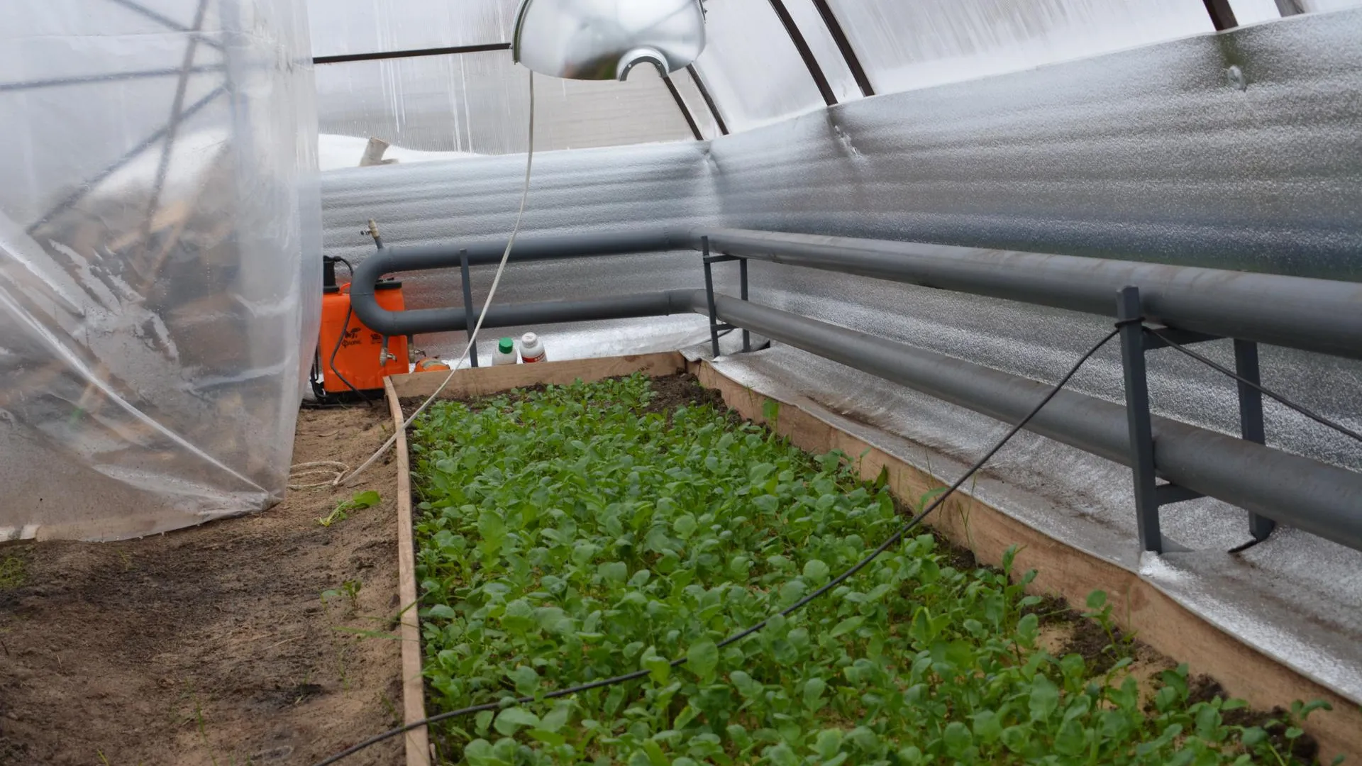 Подмосковным сельхозпроизводителям выделили 1,7 млрд руб господдержки с начала 2019 г