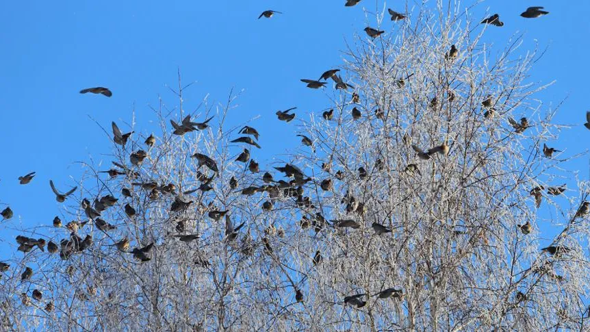 Анатолий Матвейчук / Фотобанк Лори