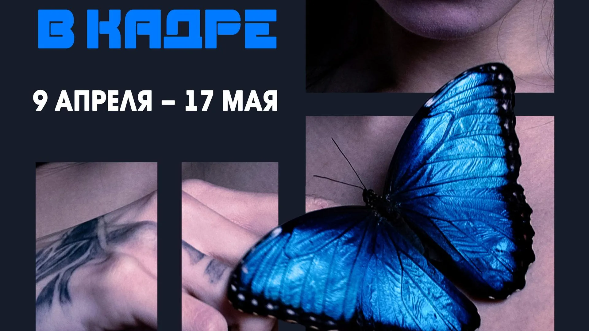 В Коломне 9 апреля откроют фотопроект «Цвет в кадре»