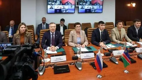 Молодые законодатели при СФ РФ обменялись опытом с коллегами из Намибии