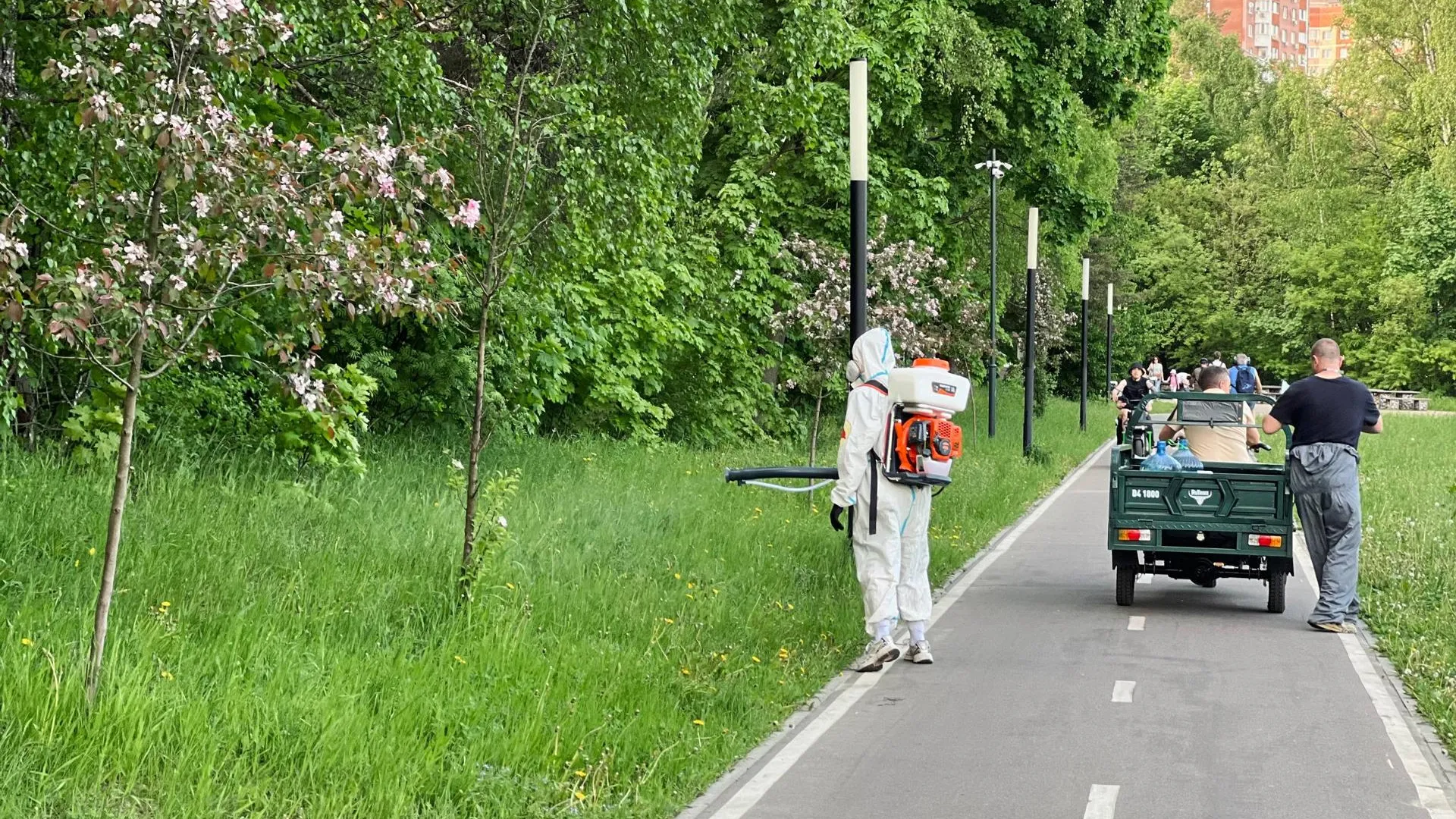 В парках Балашихи начали обработку территорий от клещей