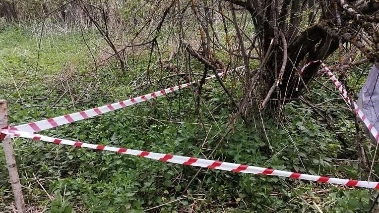Специалисты «Мособлпожспаса» обезвредили минометную мину времен ВОВ в Можайском округе