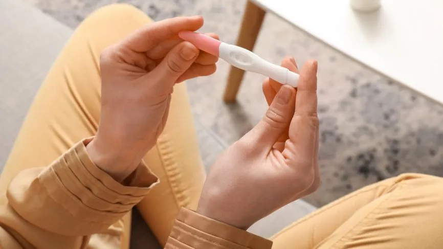 Pixel_shot / Фотобанк Лори