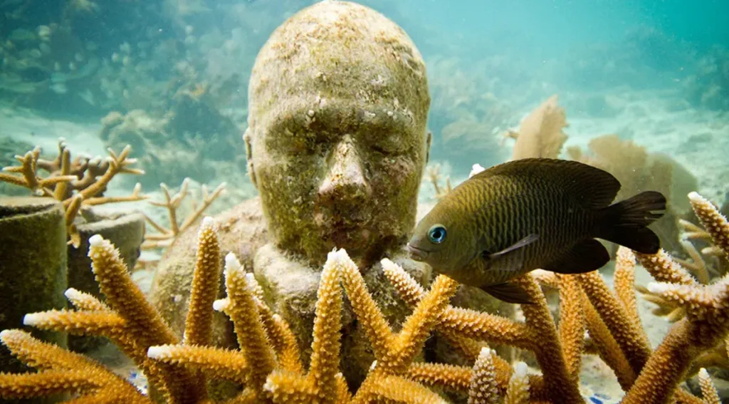 musaislamujeres.com