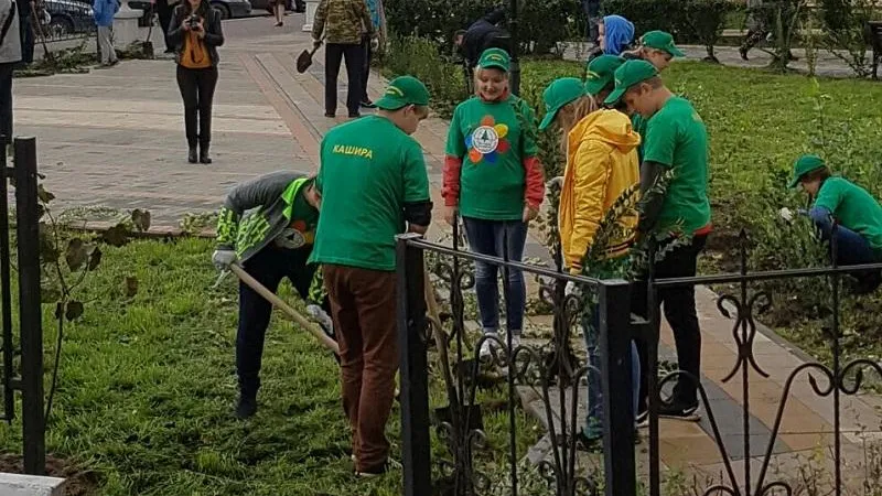 В Подмосковье экология вошла в тройку лидеров волонтерства