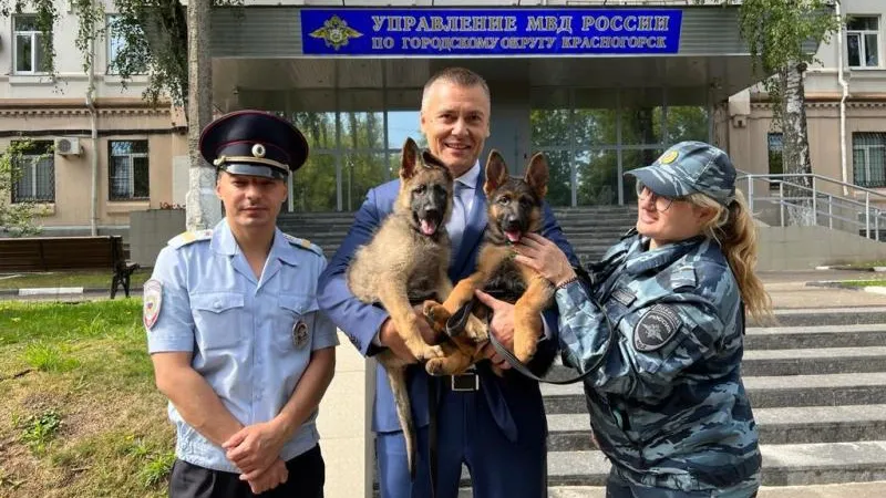 Общественник подарил кинологам Красногорска 2 щенков немецкой овчарки