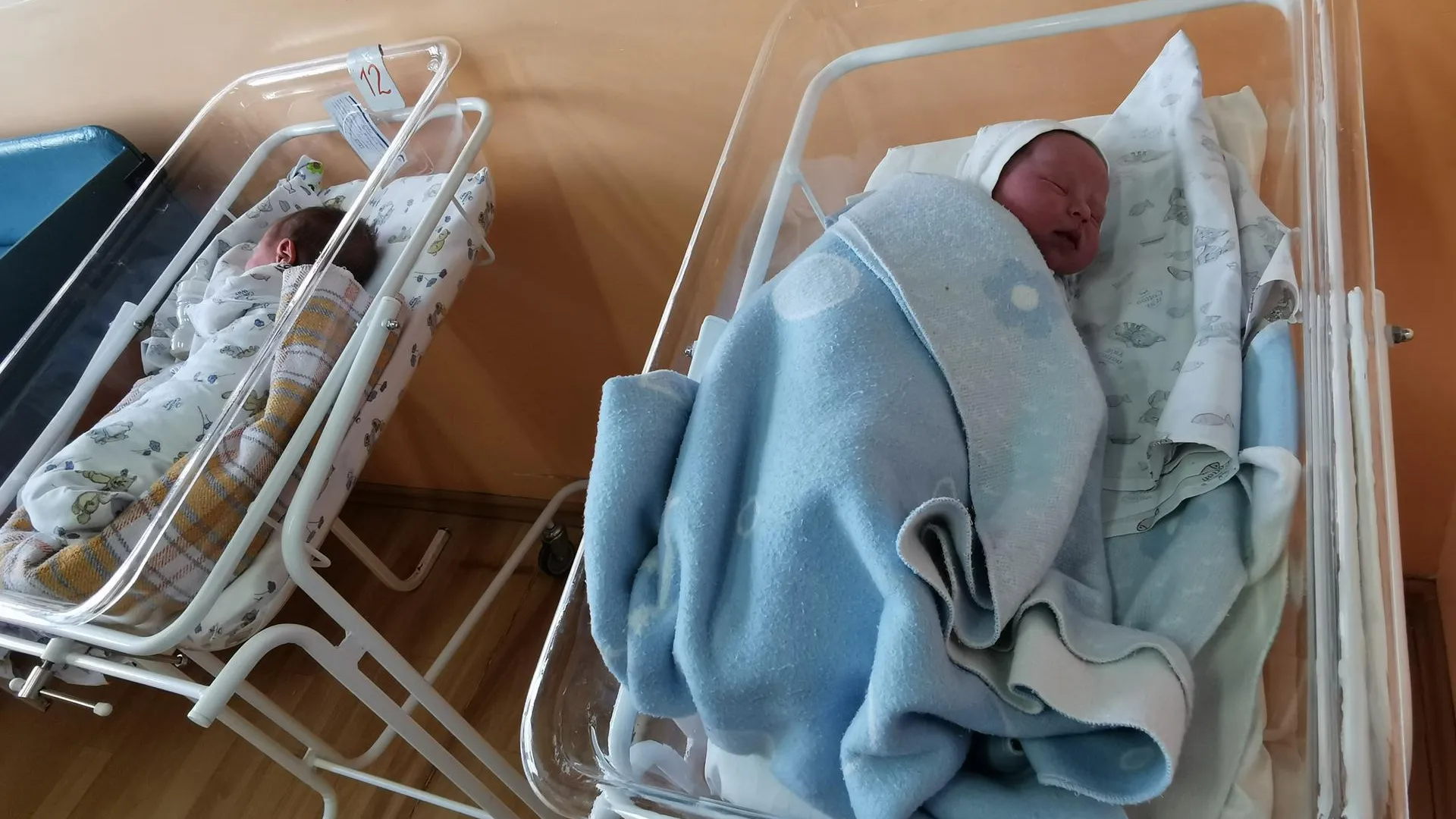 50 малышей родились в роддоме Подольска с начала года