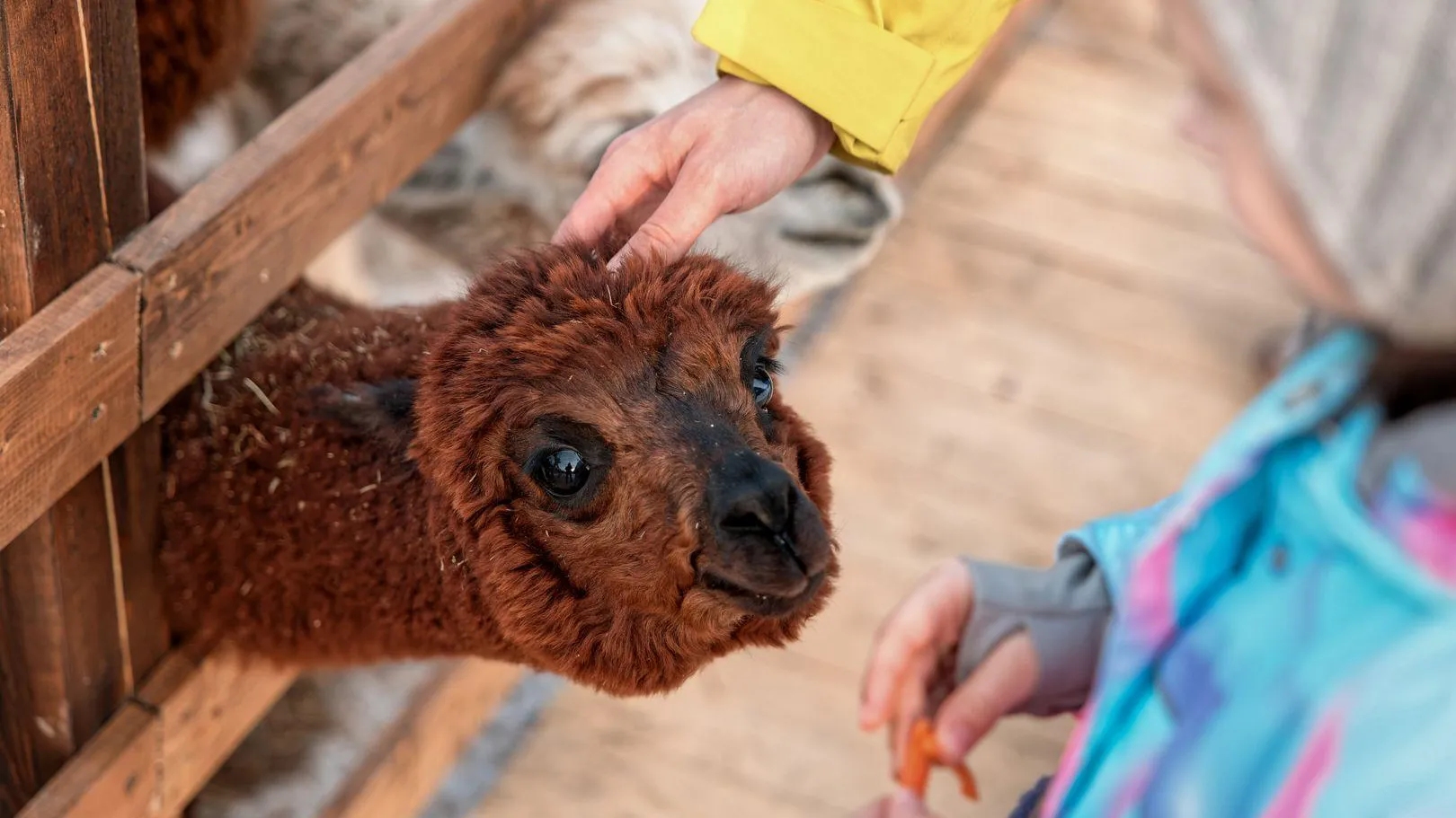 В Подмосковье подготовили гид по букетам и свиданиям к 8 Марта