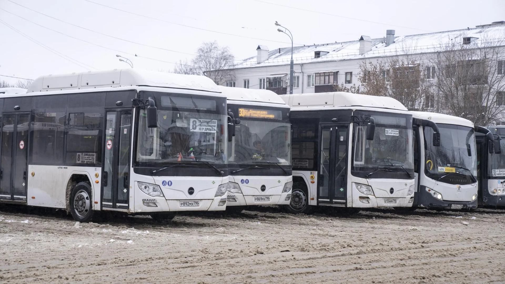 Стало известно расписание автобусов в Крещенскую ночь к купелям в Домодедово