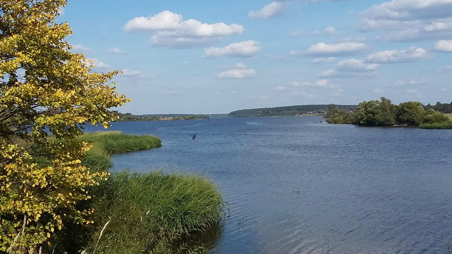 Татьяна Кежаева