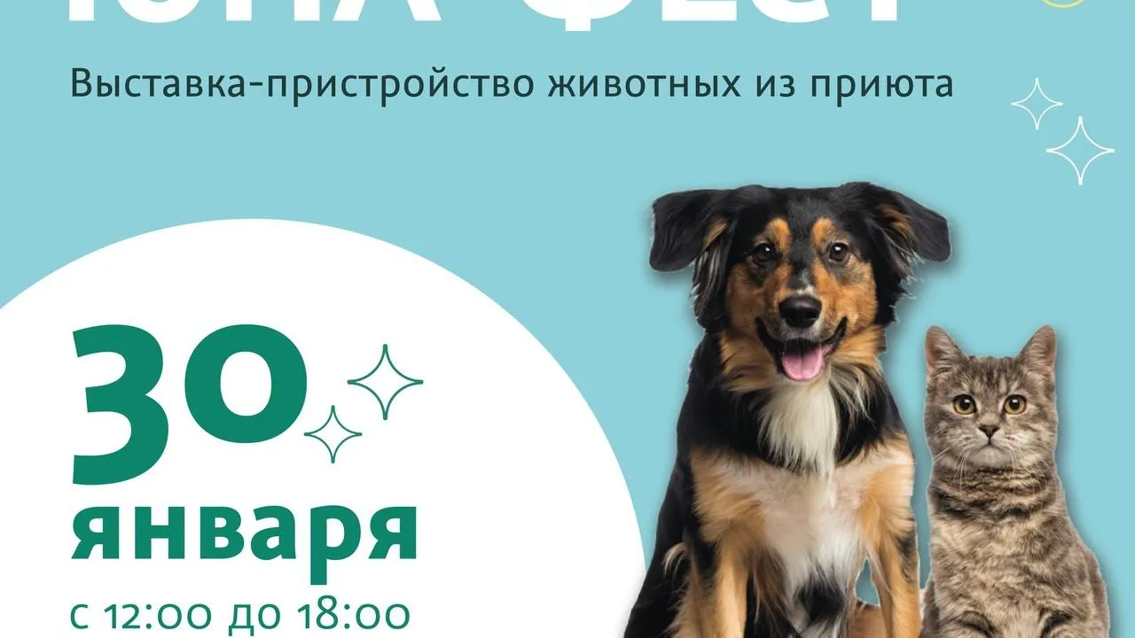 Жители Подольска 30 января смогут стать волонтерами на выставке‑пристройстве животных