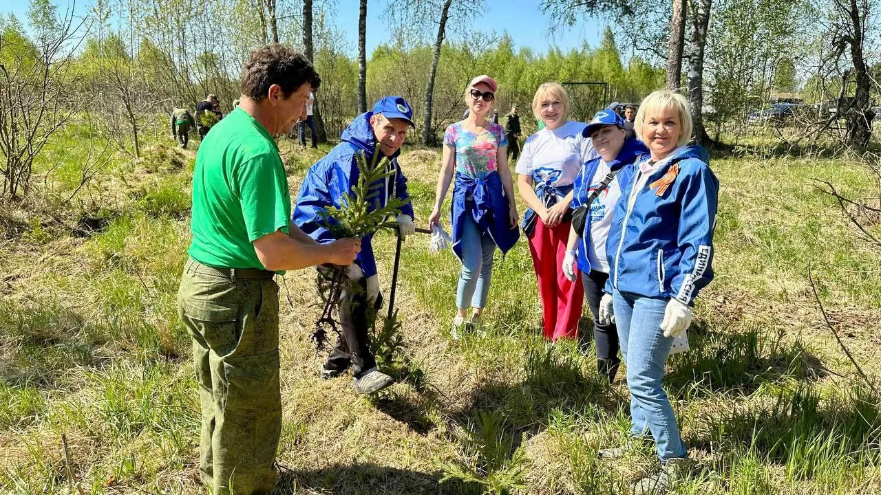 Можайский городской округ принял участие в акции «Лес Победы»