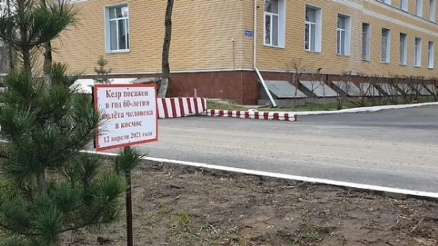 Студенты техникума Люберец высадили кедры в рамках акции