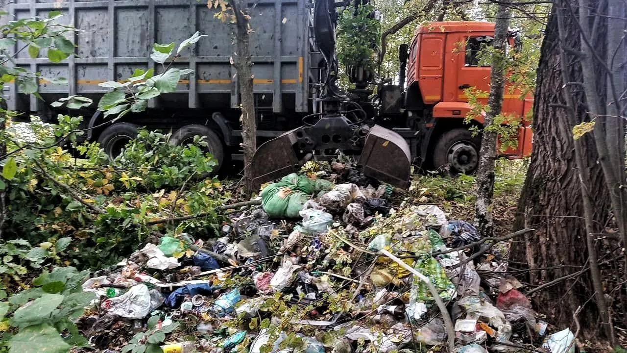 Более 860 навалов мусора убрали в лесах Подмосковья с начала года