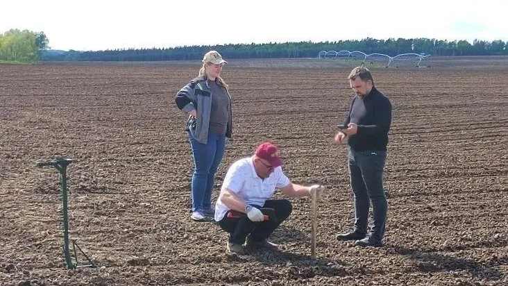 В Коломне аграрии испытывают 14 гибридов кукурузы