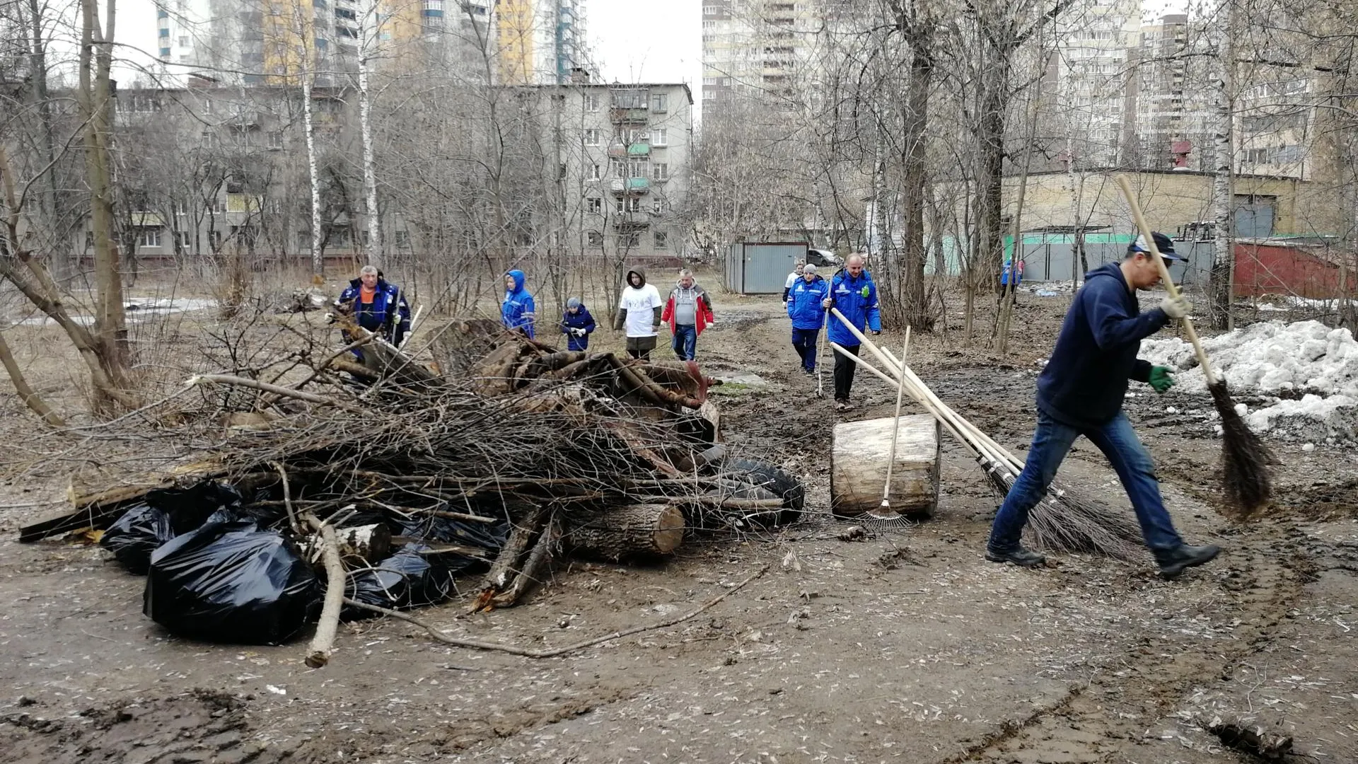 Свыше 3 тыс сотрудников Минсельхозпрода присоединятся к субботникам в Ступине и Домодедове