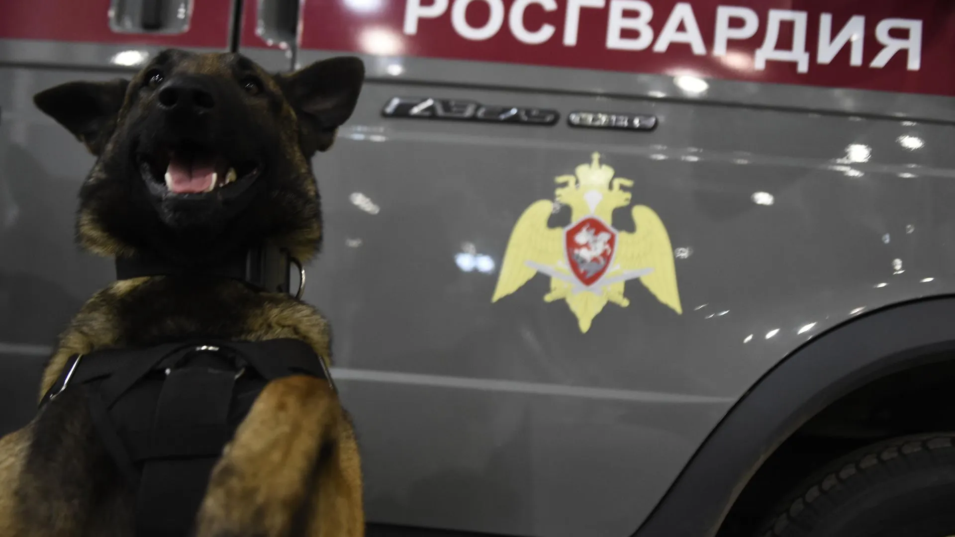 Два торговых центра эвакуировали в Королеве из‑за сообщений о минировании