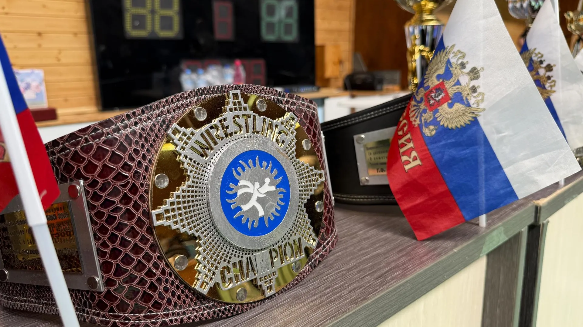 В Электростали прошли Всероссийские соревнования по борьбе