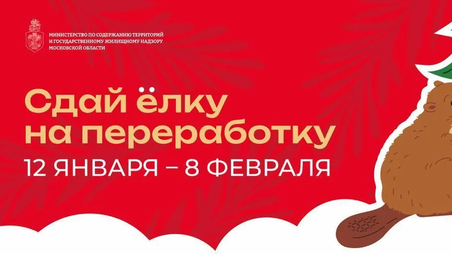 В Подмосковье открыли более 160 пунктов для утилизации новогодних деревьев