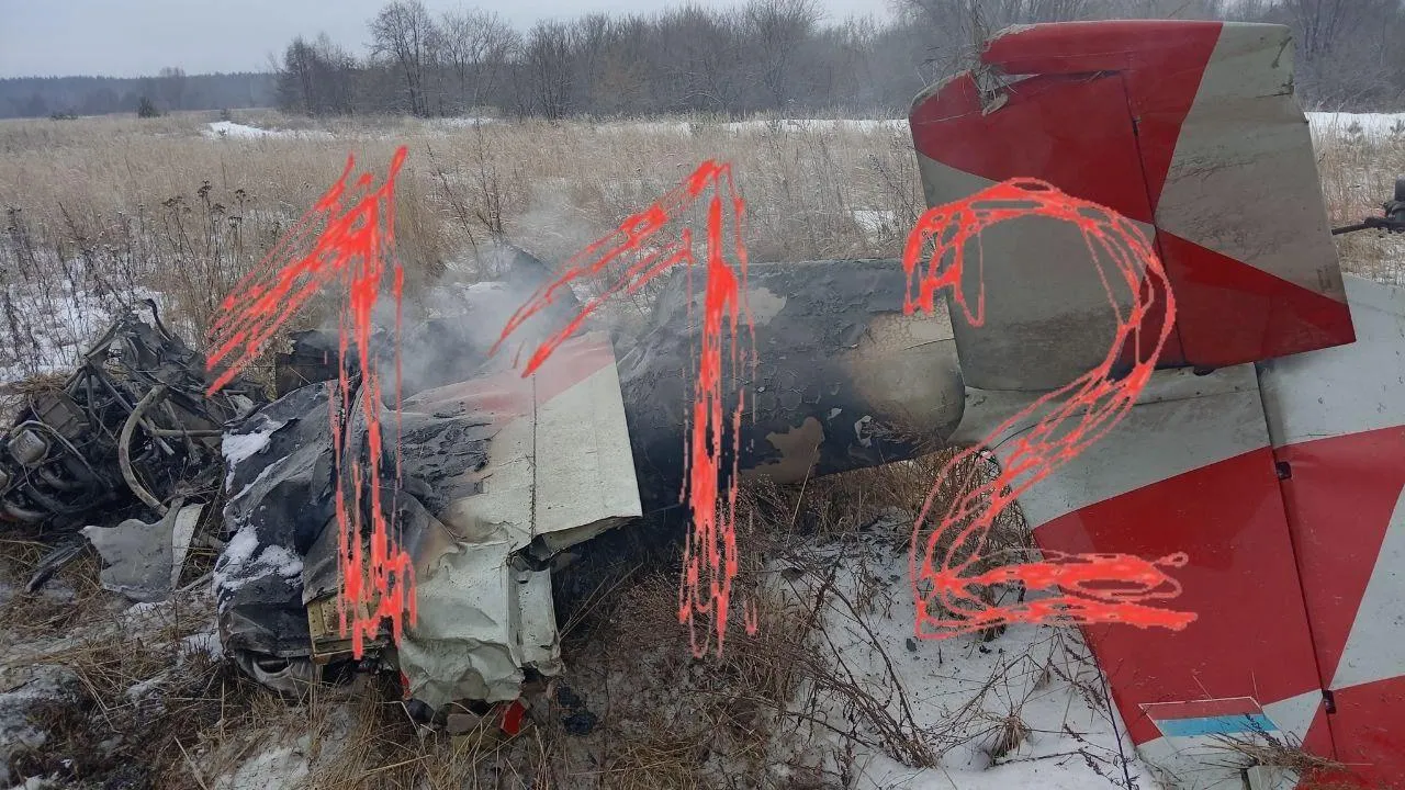 В Нижегородской области упал самолет