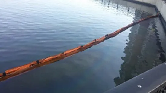 Радужную пленку обнаружили на поверхности пруда в Одинцовском округе