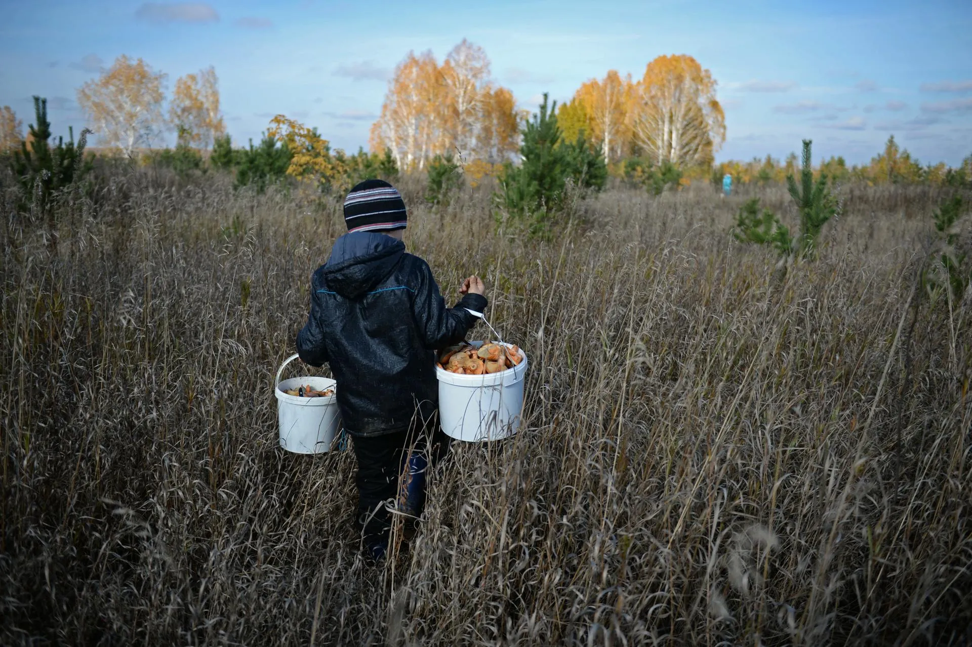 Павел Лисицын
