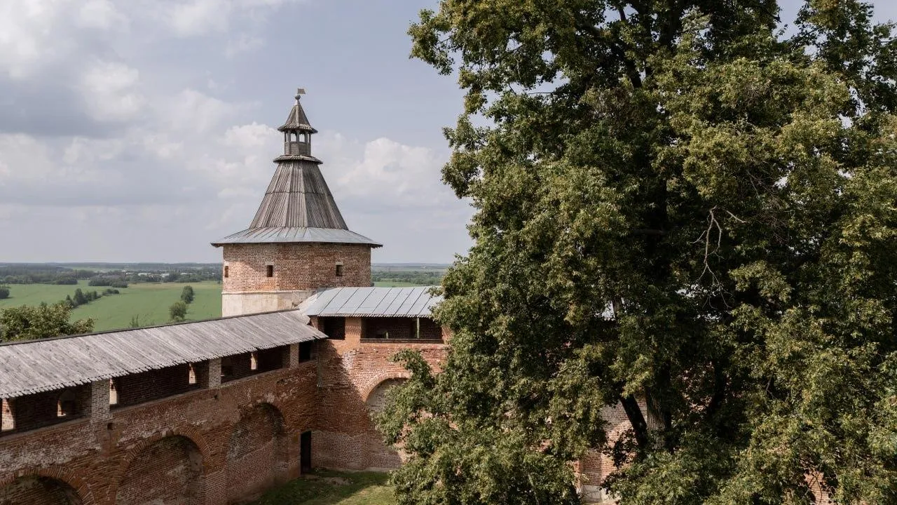 В Зарайске 8 августа откроют выставку «Архив перелетных касаний»