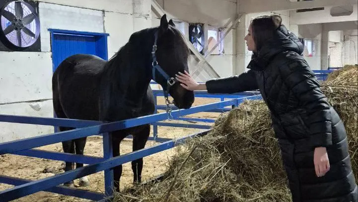 В Орехово-Зуевском округе открылось новое фермерское хозяйство