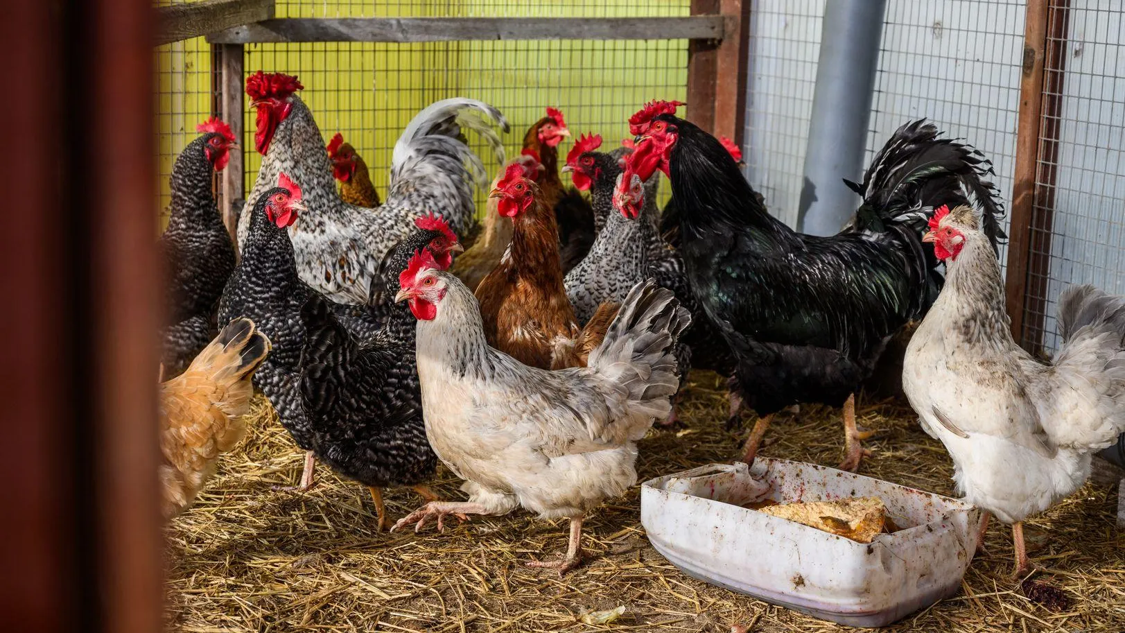 Экоферма Былинкино в Луховицком округе получила премию 2026