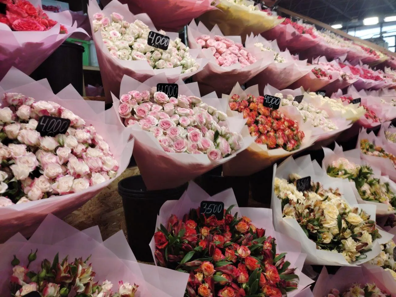 РИАМО, Сергей Дружинин