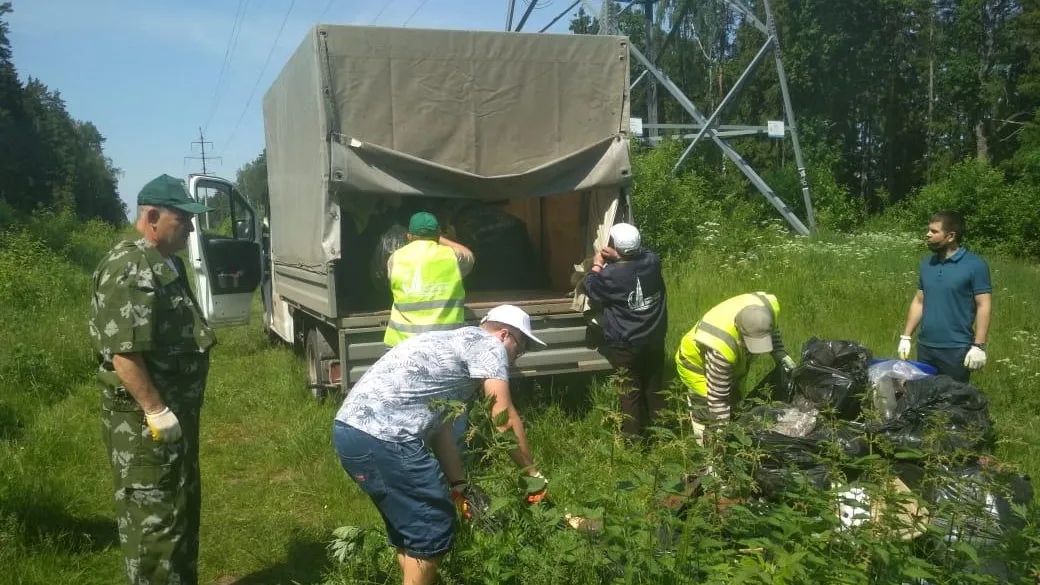 Восьмикубовый контейнер мусора собрали на субботнике в лесу Мытищ