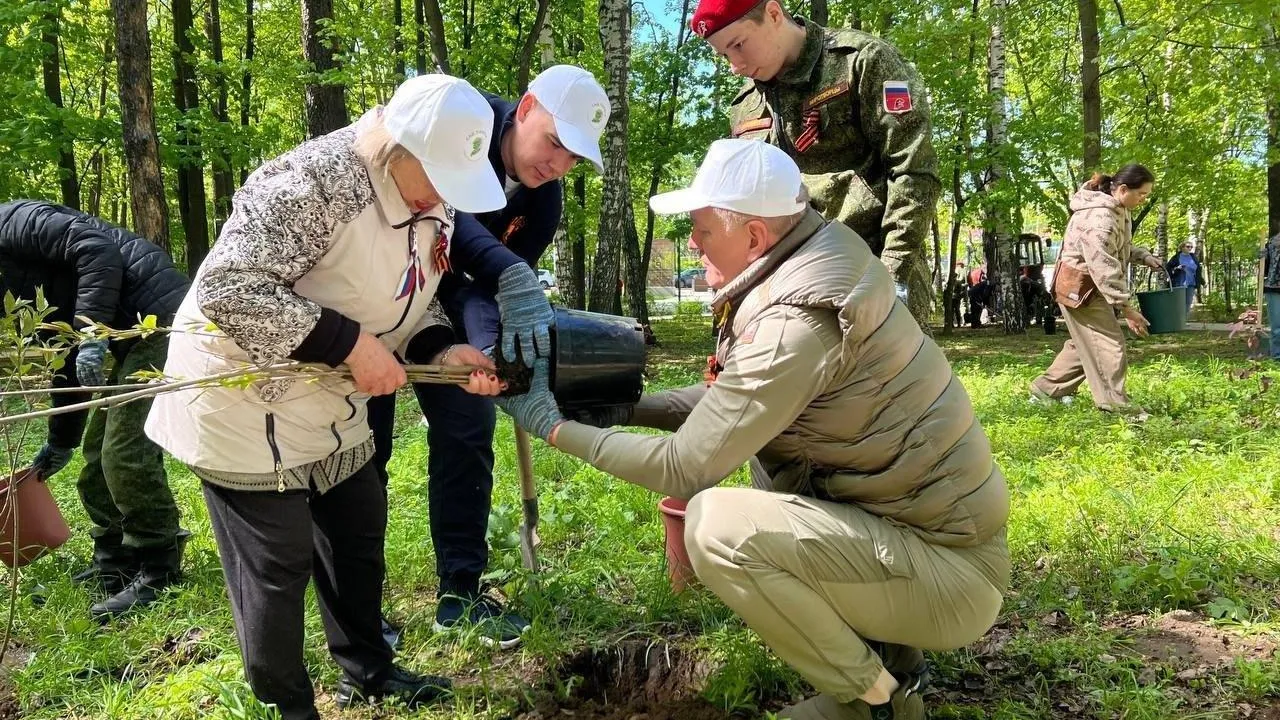Более 100 кустов сирени высадили в парке Люберец