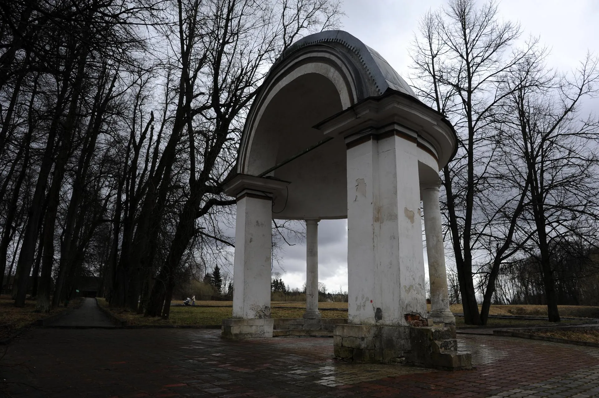 Александр Кожохин