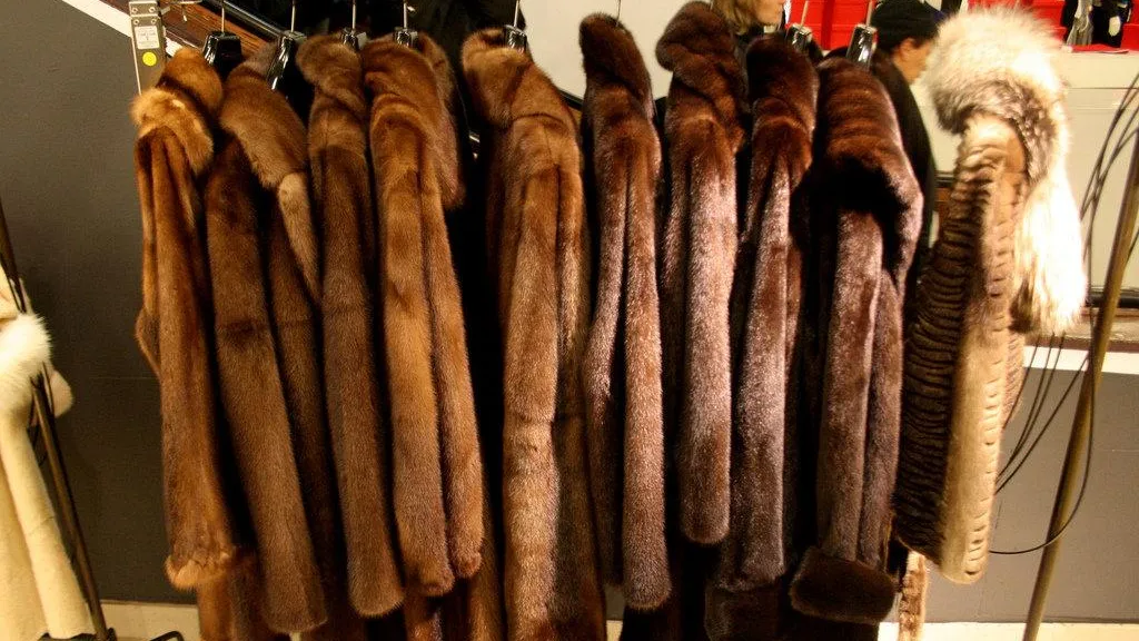 Средний чек на шубы в России снизился на 15% в декабре