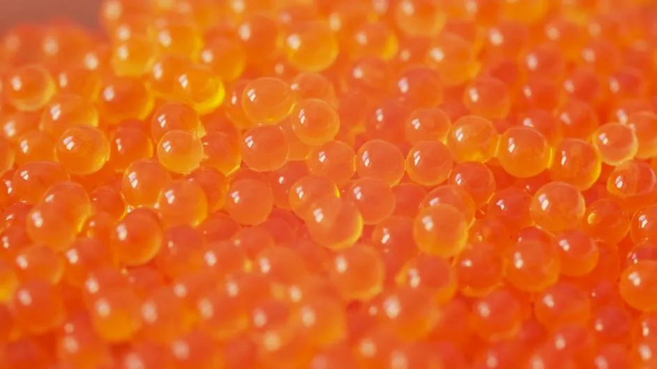 В красной икре из московских магазинов нашли кишечную палочку