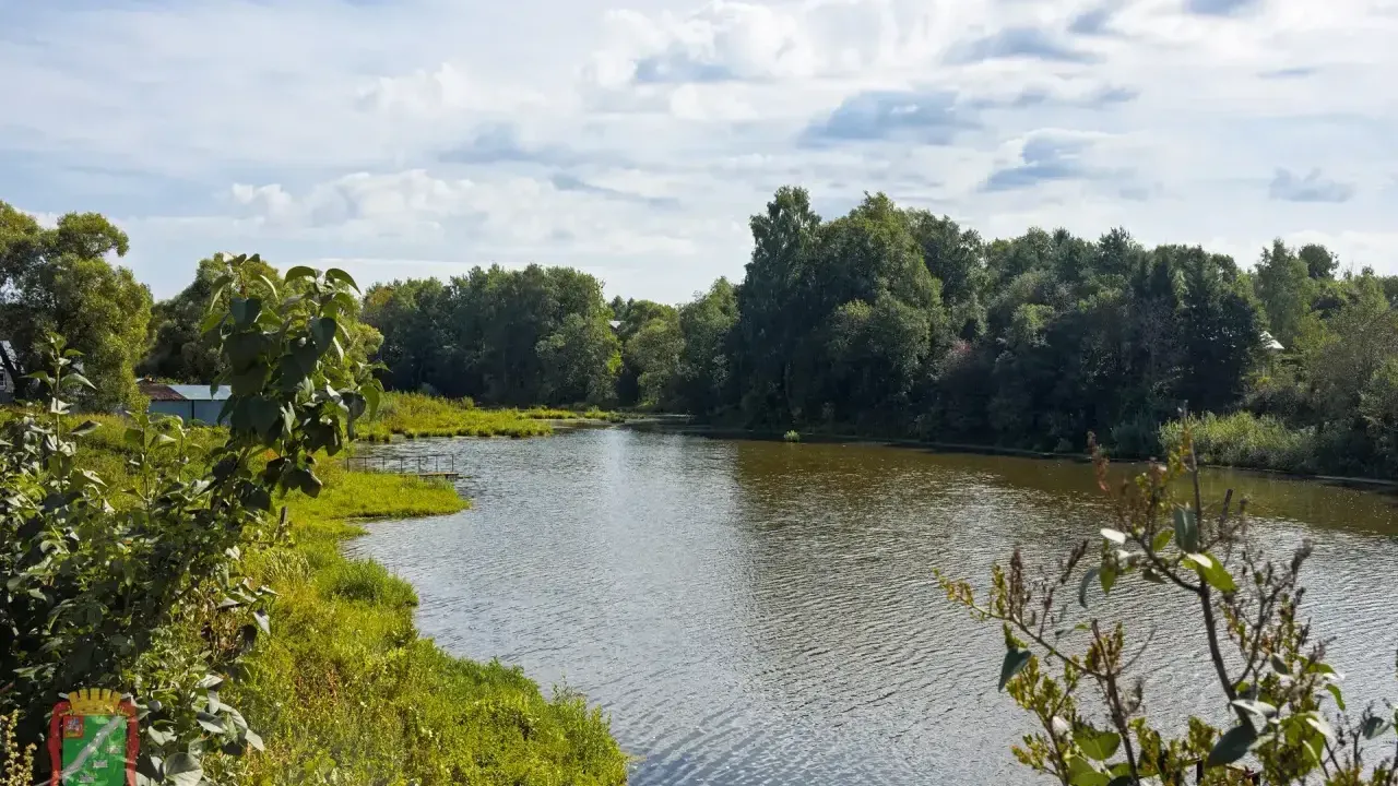В Наро-Фоминском округе очистили два пруда