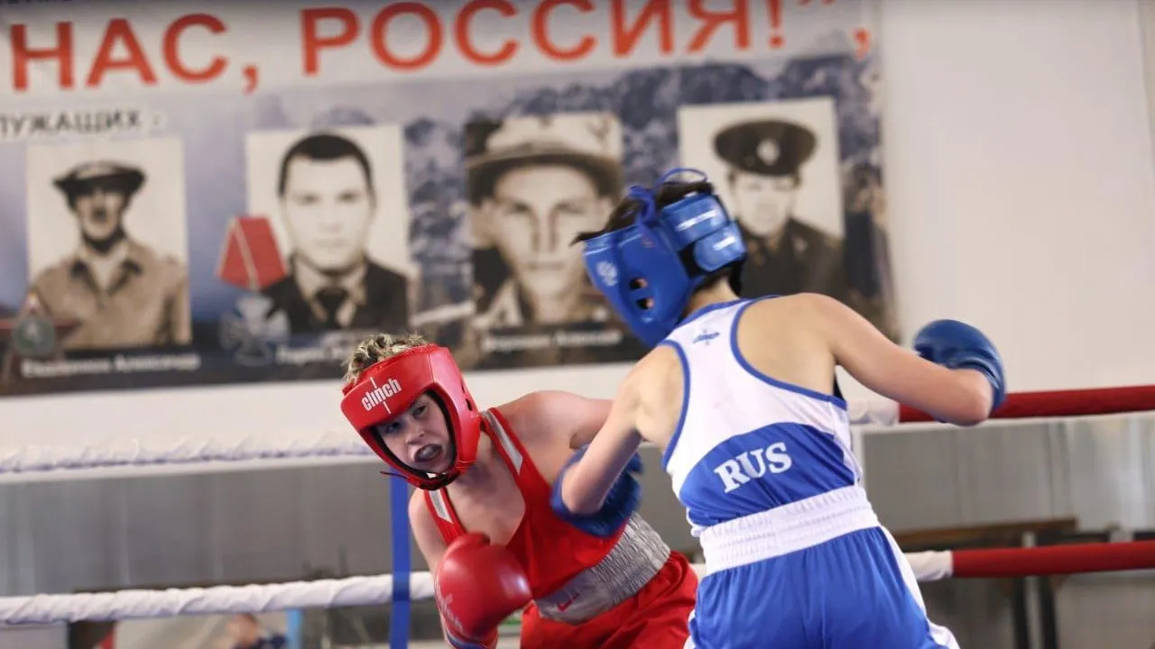 Спортсмены из Дмитрова взяли первые места на турнире по боксу