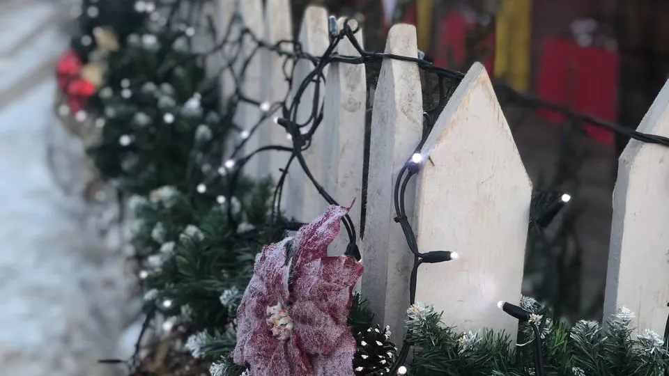 Опубликована карта елочных базаров в Подмосковье
