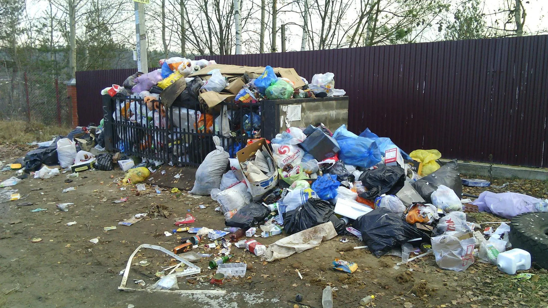 На кладбище в Красногорске обнаружили нелегальную свалку